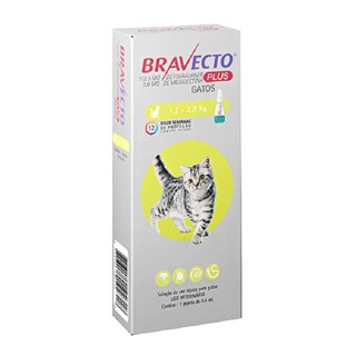 Antipulgas MSD Bravecto Transdermal Plus para Gatos de 1,2 a 2,8 Kg