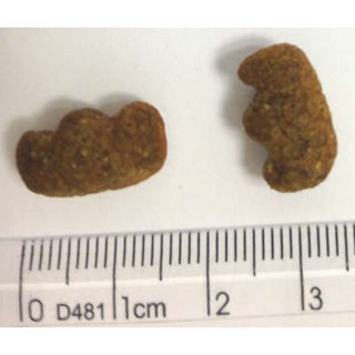 Ração Premier Pet Raças Específicas Labrador Filhote - 12 Kg